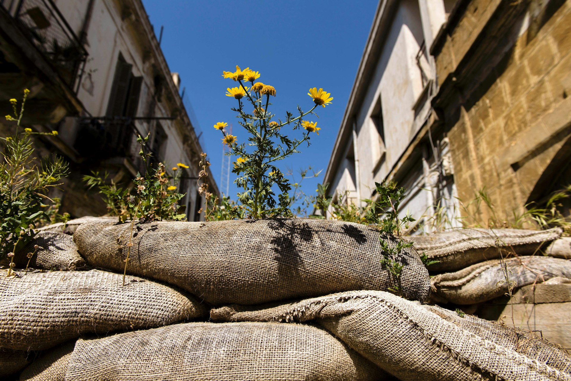 green line tour nicosia